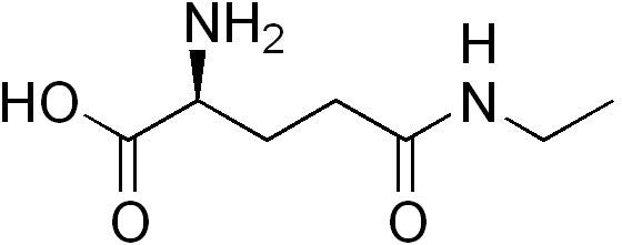 What Is L-Theanine?